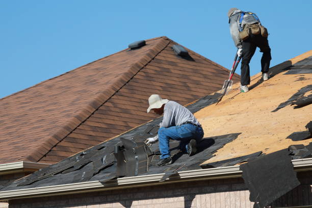 Best Roof Leak Repair  in Park City, IL