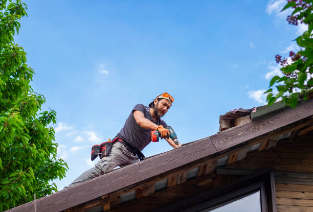 Best Roof Insulation Installation  in Park City, IL